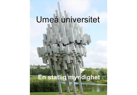 Umeå universitet En statlig myndighet