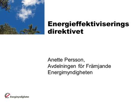 Energieffektiviserings direktivet