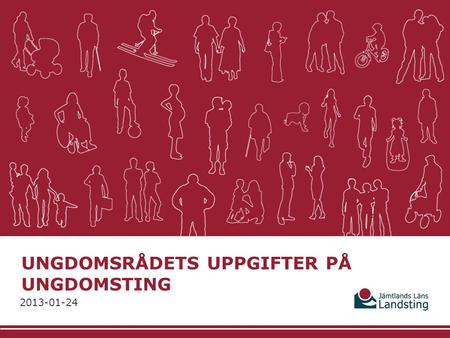 UNGDOMSRÅDETS UPPGIFTER PÅ UNGDOMSTING 2013-01-24.