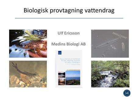 Biologisk provtagning vattendrag Ulf Ericsson Medins Biologi AB.