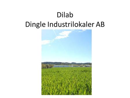 Dilab Dingle Industrilokaler AB. Nettoomsättning2 6262 223 Övriga rörelseintäkter 300 0 Summa rörelsens intäkter2 9262 223 RÖRELSENS KOSTNADER Fastighetskostnader-188-173.