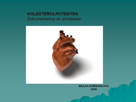 KOLESTEROLPATIENTEN Dokumentering av processen MALAX-KORSNÄS HVC 2006.