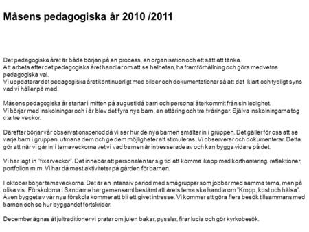 Måsens pedagogiska år 2010 /2011