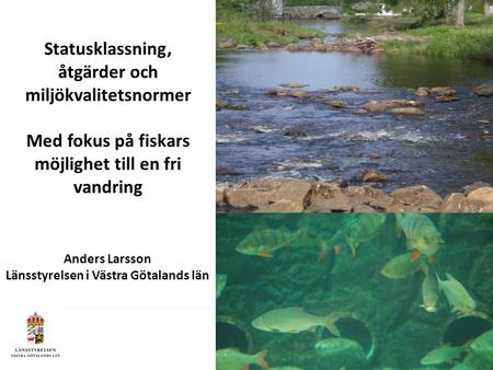 Statusklassning, åtgärder och miljökvalitetsnormer Med fokus på fiskars möjlighet till en fri vandring Anders Larsson Länsstyrelsen i Västra Götalands.