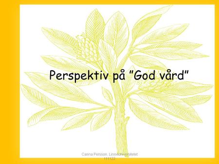 Perspektiv på ”God vård” Carina Persson, Linnéuniversitetet 111122.