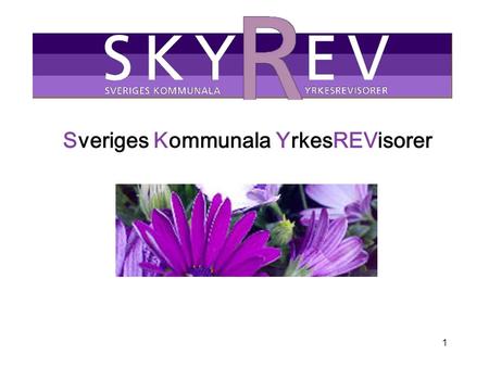 1 Sveriges Kommunala YrkesREVisorer. 2 Skyrev Föreningen bildades hösten 2000 Efter våra inledande år har vi nu drygt 350 medlemmar varav ca 220 är certifierade.