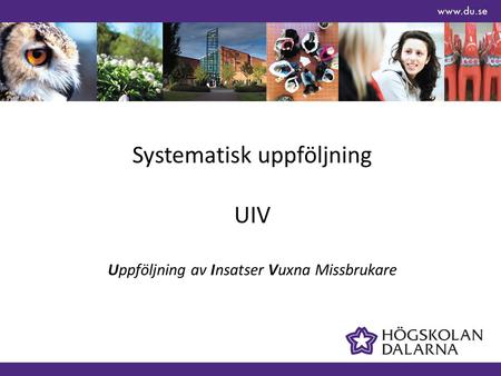 Systematisk uppföljning UIV