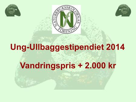 Ung-Ullbaggestipendiet 2014 Vandringspris + 2.000 kr.