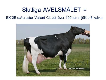 1 Slutliga AVELSMÅLET = EX-2E e.Aerostar-Valiant-Cit.Jet över 100 ton mjölk o 8 kalvar.