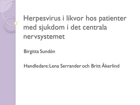 Birgitta Sundén Handledare: Lena Serrander och Britt Åkerlind