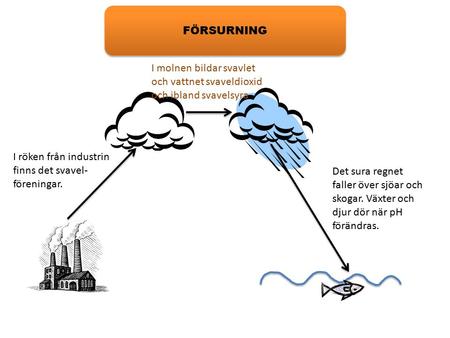 FÖRSURNING I molnen bildar svavlet och vattnet svaveldioxid och ibland svavelsyra I röken från industrin finns det svavel-föreningar. Det sura regnet faller.