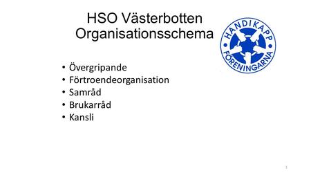 HSO Västerbotten Organisationsschema