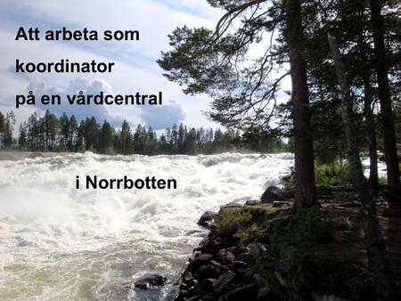 Att arbeta som koordinator på en vårdcentral i Norrbotten