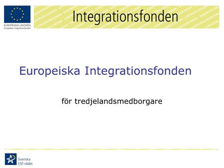 Europeiska Integrationsfonden för tredjelandsmedborgare.