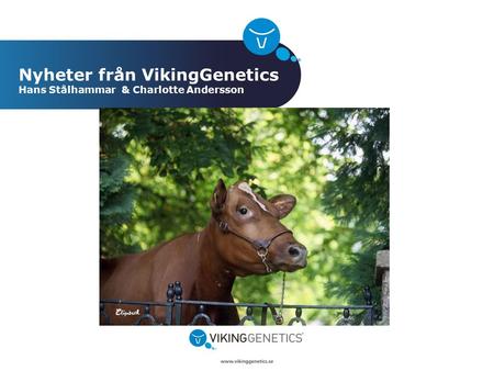 Nyheter från VikingGenetics Hans Stålhammar & Charlotte Andersson
