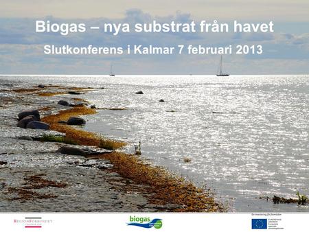 Biogas – nya substrat från havet Slutkonferens i Kalmar 7 februari 2013.