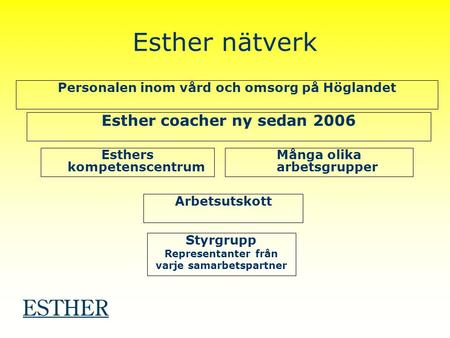 Esther nätverk Styrgrupp Representanter från varje samarbetspartner Arbetsutskott Esthers kompetenscentrum Många olika arbetsgrupper Esther coacher ny.