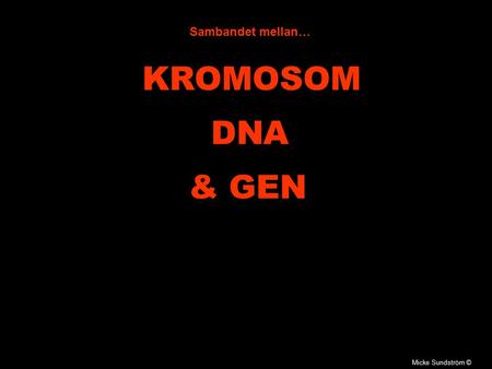 Sambandet mellan… KROMOSOM DNA & GEN Micke Sundström ©
