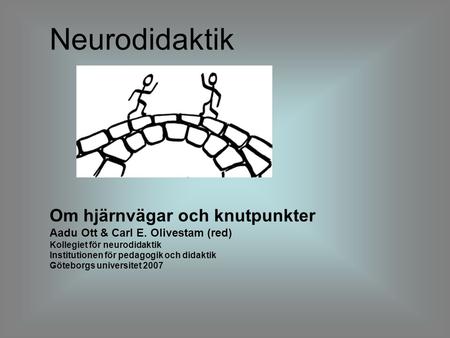 Neurodidaktik Om hjärnvägar och knutpunkter