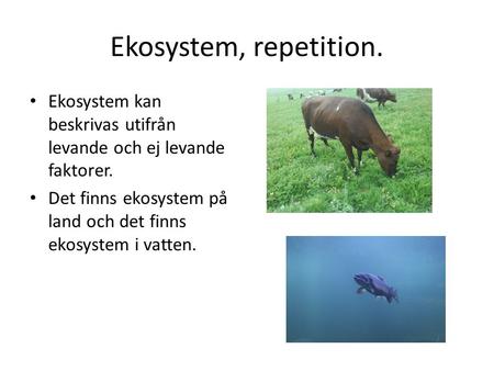 Ekosystem, repetition. Ekosystem kan beskrivas utifrån levande och ej levande faktorer. Det finns ekosystem på land och det finns ekosystem i vatten.