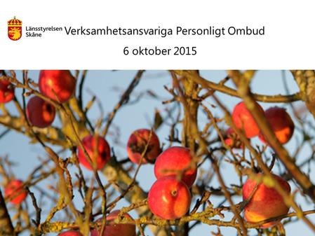 Verksamhetsansvariga Personligt Ombud 6 oktober 2015.