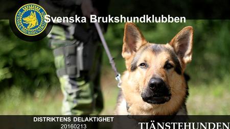 Svenska Brukshundklubben DISTRIKTENS DELAKTIGHET 20160213.