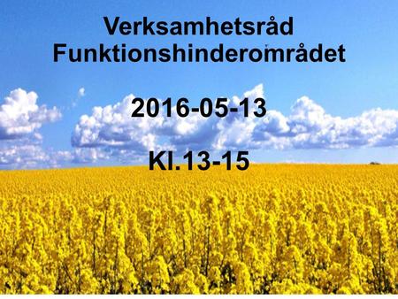 Verksamhetsråd Funktionshinderområdet 2016-05-13 Kl.13-15.