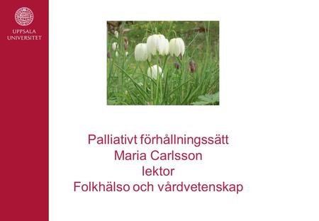 Palliativt förhållningssätt Maria Carlsson lektor Folkhälso och vårdvetenskap.