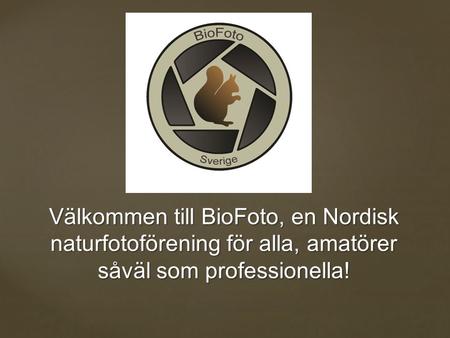 Välkommen till BioFoto, en Nordisk naturfotoförening för alla, amatörer såväl som professionella!