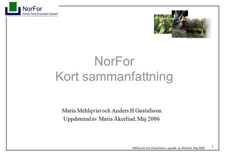 1 Mehlqvist och Gustafsson, uppdat. av Åkerlind, Maj 2006 NorFor Kort sammanfattning Maria Mehlqvist och Anders H Gustafsson Uppdaterad av Maria Åkerlind,