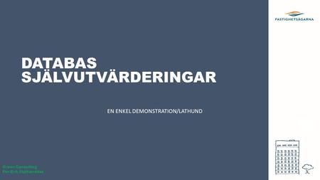 DATABAS SJÄLVUTVÄRDERINGAR EN ENKEL DEMONSTRATION/LATHUND Green Consulting Per-Erik Stålhandske.