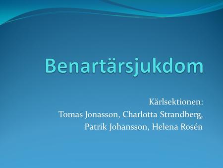 Kärlsektionen: Tomas Jonasson, Charlotta Strandberg, Patrik Johansson, Helena Rosén.