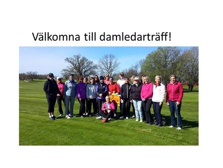 Välkomna till damledarträff!. Smålands Golfförbund Smålands Golfförbund Damkommittén Annika Persson ordf. Kalmar GK Annelie Fors Tobo GK.
