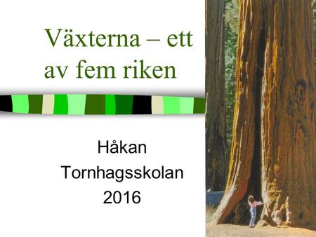 Växterna – ett av fem riken Håkan Tornhagsskolan 2016.