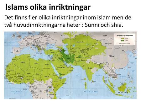 Islams olika inriktningar Det finns fler olika inriktningar inom islam men de två huvudinriktningarna heter : Sunni och shia.