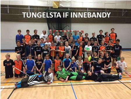 TUNGELSTA IF INNEBANDY. Tungelsta IF Innebandy 2015-08-16.