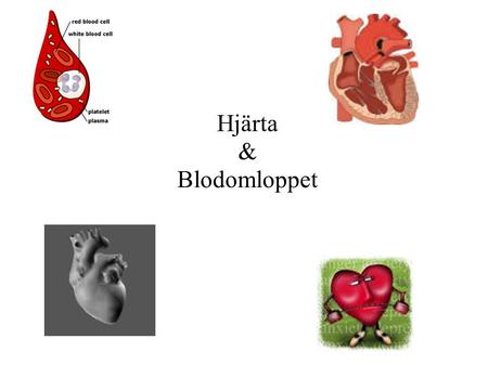 Hjärta & Blodomloppet. Blodkärl I hela kroppen är det fullt utav blodkärl, bara för att varje cell ska få vad den behöver. Man skulle kunna se blodkärlen.