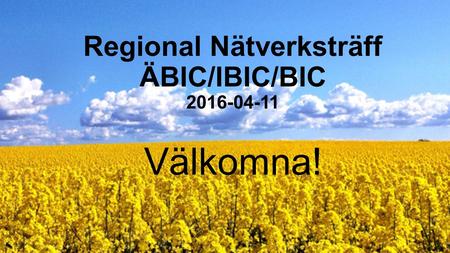 Regional Nätverksträff Ä BIC/IBIC/BIC 2016-04-11 Välkomna!