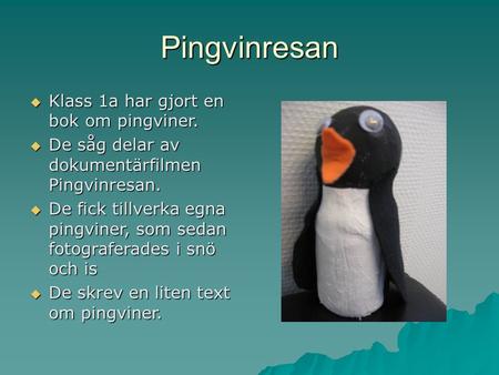 Pingvinresan  Klass 1a har gjort en bok om pingviner.  De såg delar av dokumentärfilmen Pingvinresan.  De fick tillverka egna pingviner, som sedan fotograferades.