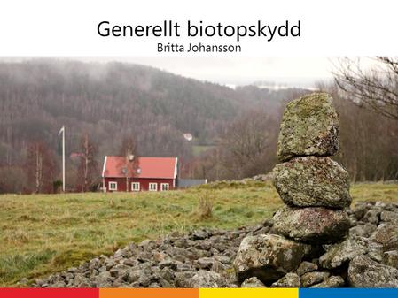 Generellt biotopskydd Britta Johansson