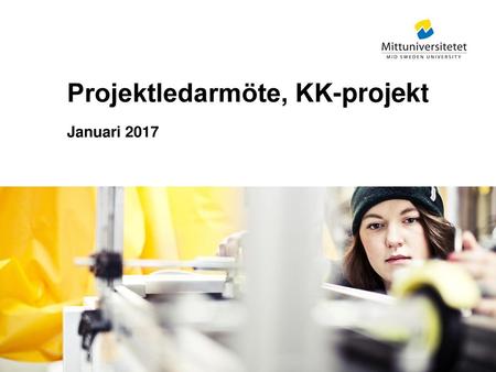 Projektledarmöte, KK-projekt