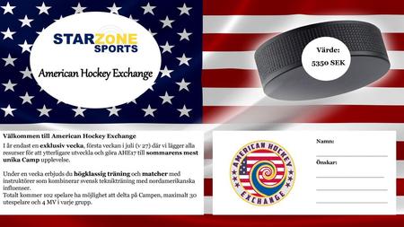 American Hockey Exchange
