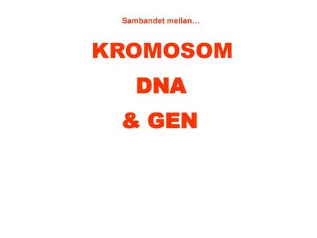 Sambandet mellan… KROMOSOM DNA & GEN.