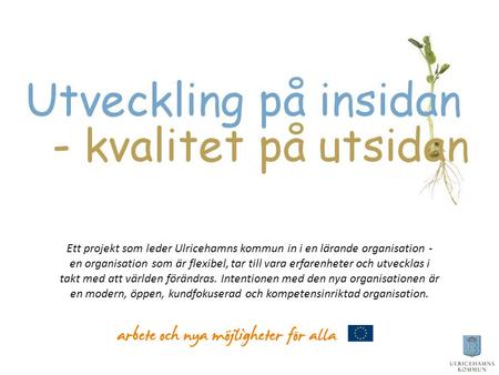 Ett projekt som leder Ulricehamns kommun in i en lärande organisation - en organisation som är flexibel, tar till vara erfarenheter och utvecklas i takt.