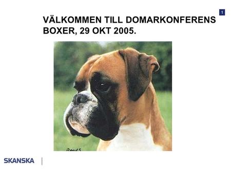VÄLKOMMEN TILL DOMARKONFERENS BOXER, 29 OKT 2005.