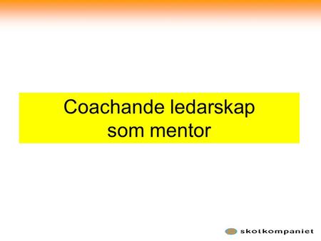 Coachande ledarskap som mentor
