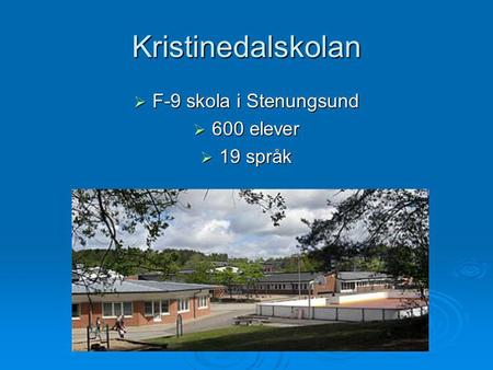 Kristinedalskolan F-9 skola i Stenungsund 600 elever 19 språk.