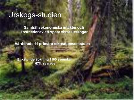 Urskogs-studien Samhällsekonomiska intäkter och kostnader av att spara vissa urskogar Värderade 11 primära rekreationsområden Enkätundersökning 1100 svenskar.