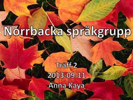 Norrbacka språkgrupp Träff 2 2013-09-11 Anna Kaya.