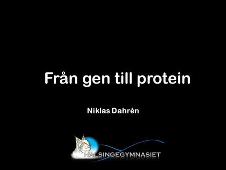 Från gen till protein Niklas Dahrén.
